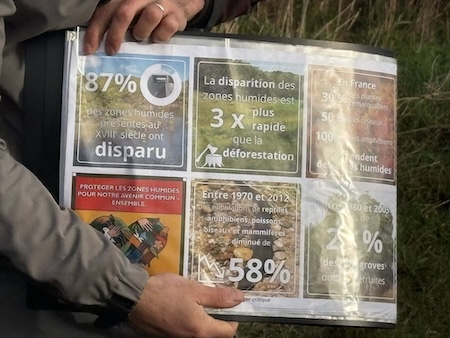 Biodiversité marais Guissény - Conservatoire du littoral